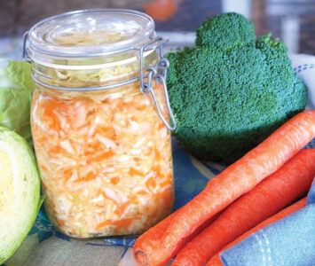 Problems with Food Preservation Image